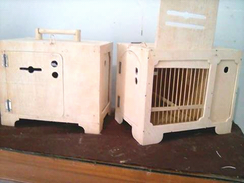 Melatih Kekep Babi Air Attack Bok Kekep Babi