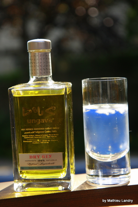 Le Singe a Soif Ungava Dry Gin