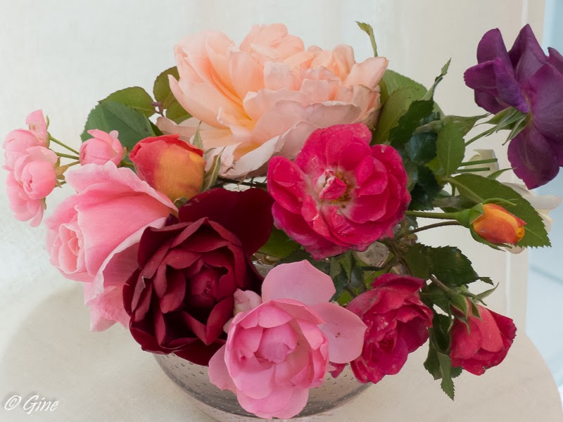 Epingle Par Nathalie Barre Sur Photos Avec Images Roses Rouges