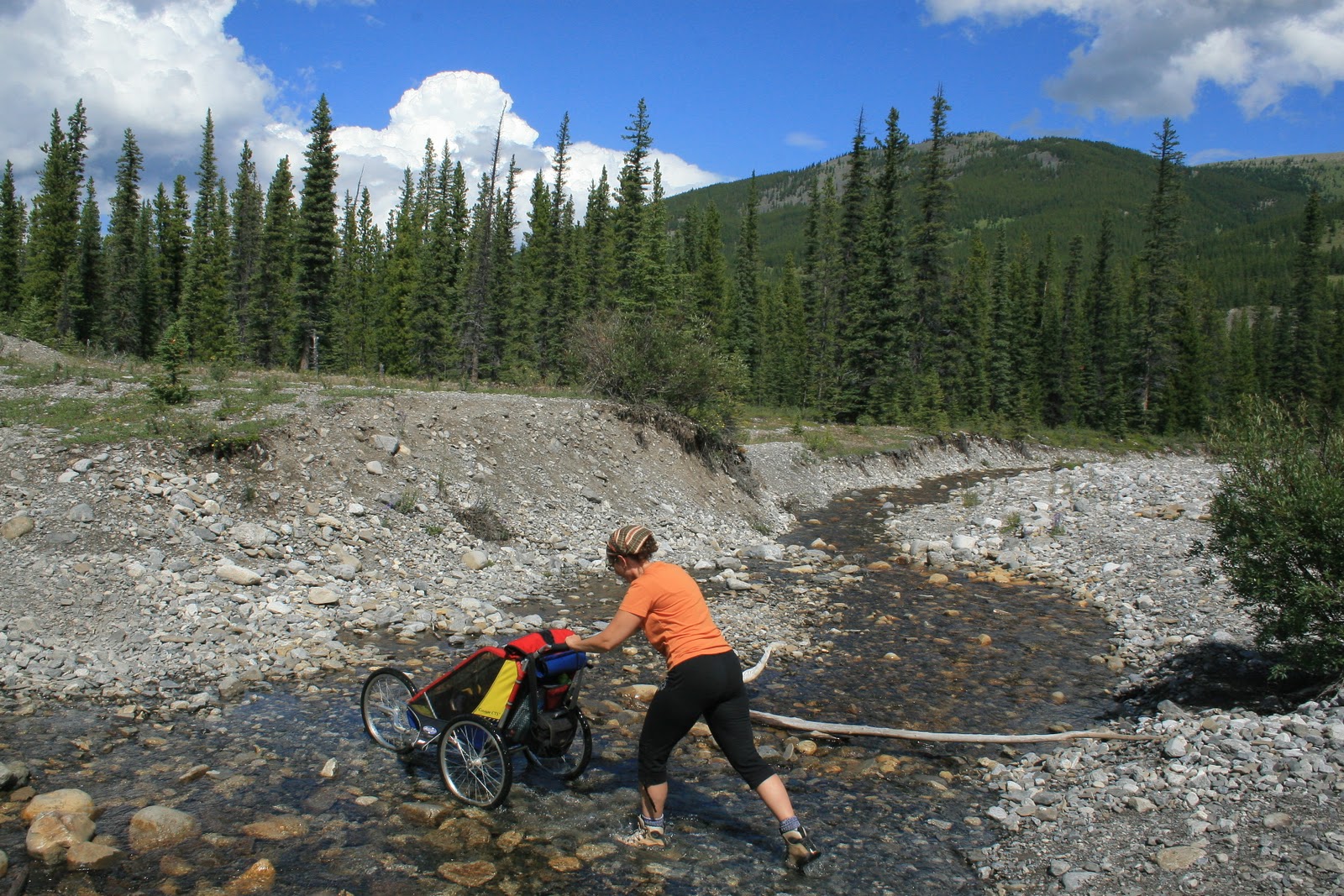 Alberta And Best Campsites Beaver Cabins Campground Reviews