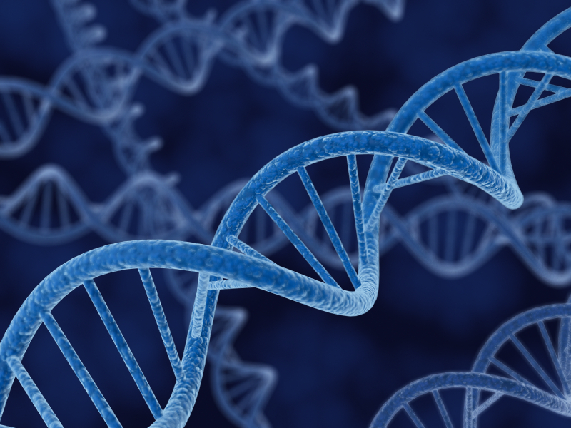 DNA dna