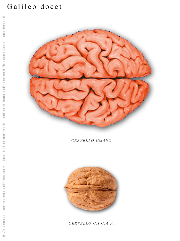 Cervello-Cicap