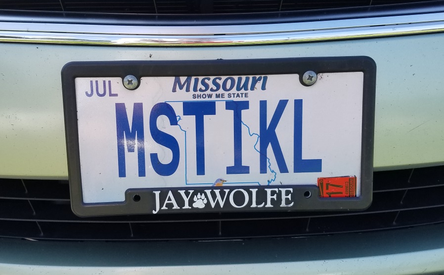 Divinebunbun's Rugged Rural Missouri Mo License Plates