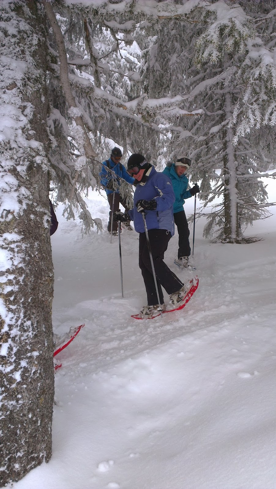 Snow Shoeing Europe Snowshoeing Geneva