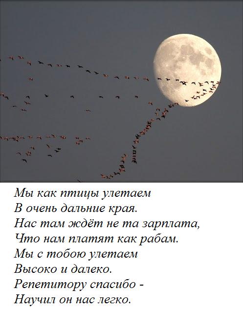 Быстрый Старт со Skype Репетитором по английскому языку онлайн: Отзывы ...