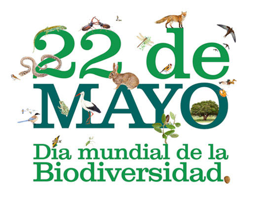 Comité Ambiental - I.E.S. Punta Larga: 22 DE MAYO DÍA MUNDIAL DE ...
