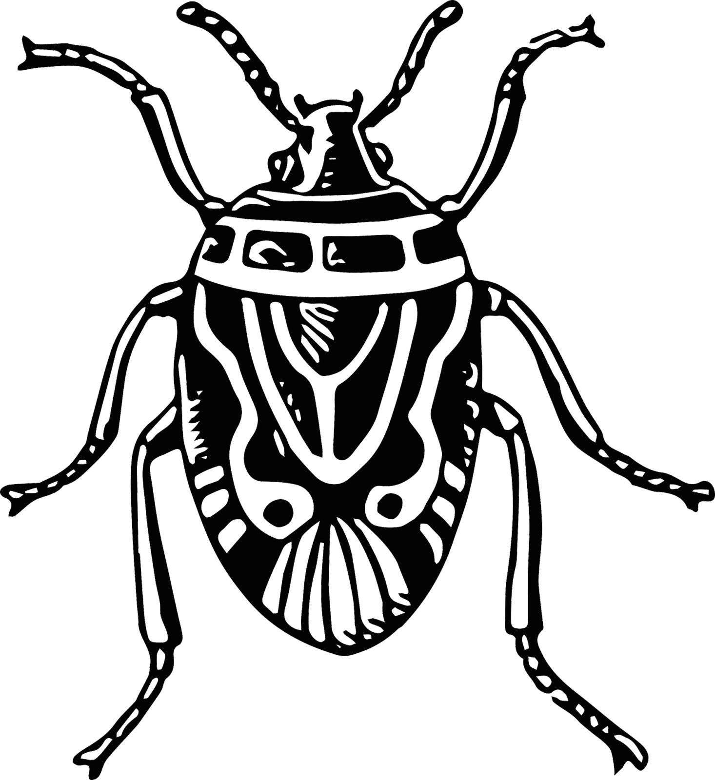 Gran colección de animales a lapiz