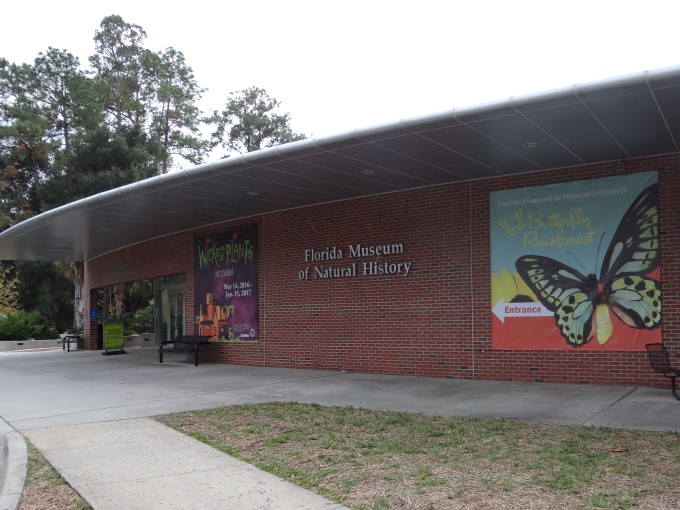Walkabout With Wheels Blog Butterflies! at the Museum of Natural