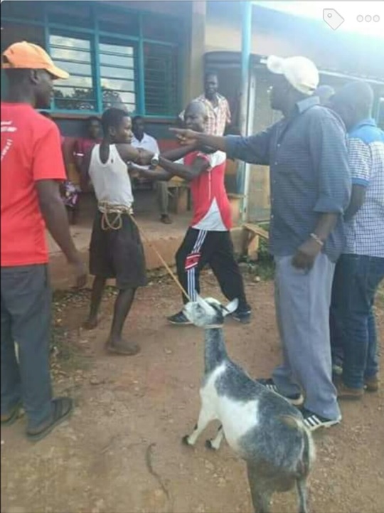 Young Kenyan Man Caught Having Sex With A Goat Disgraced And Paraded In 