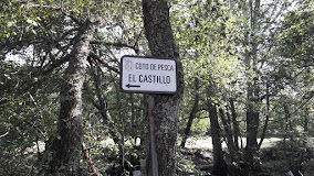Coto de pesca El Castillo. 👇