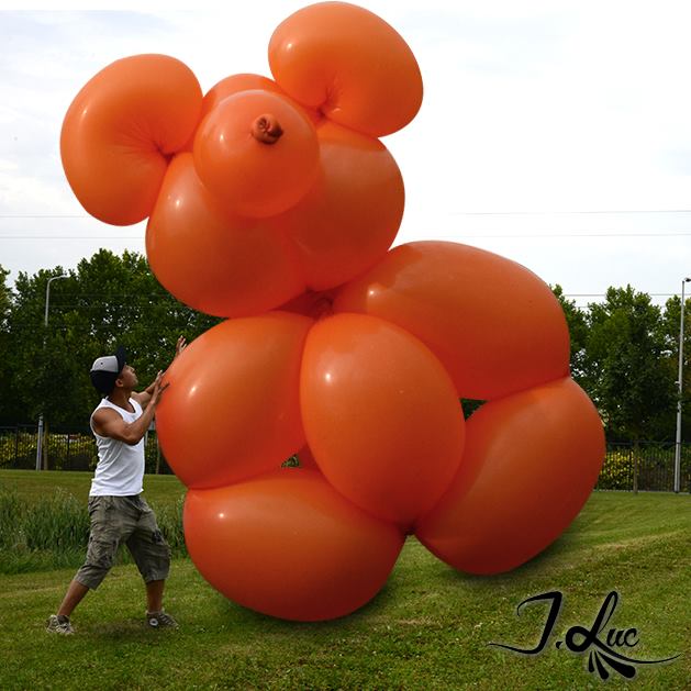 Jocelyn Ng Professional Balloon Artist Blog Balloon sculpting