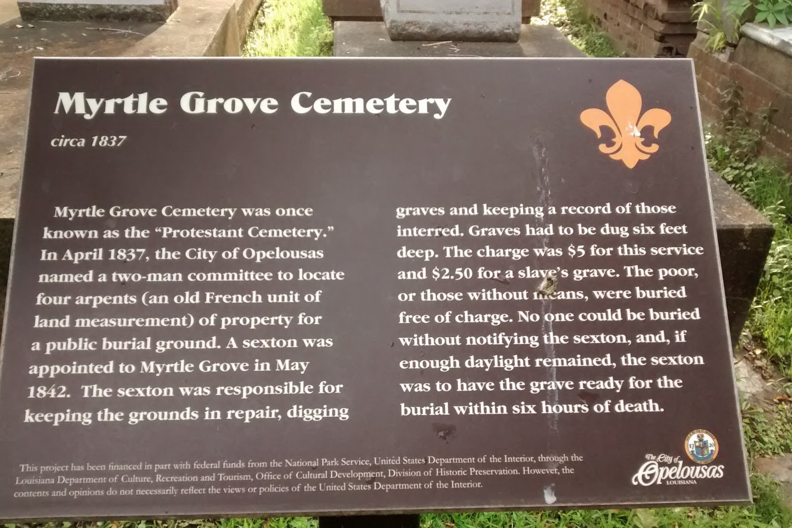 Living Rootless Opelousas Stories in a Cemetery