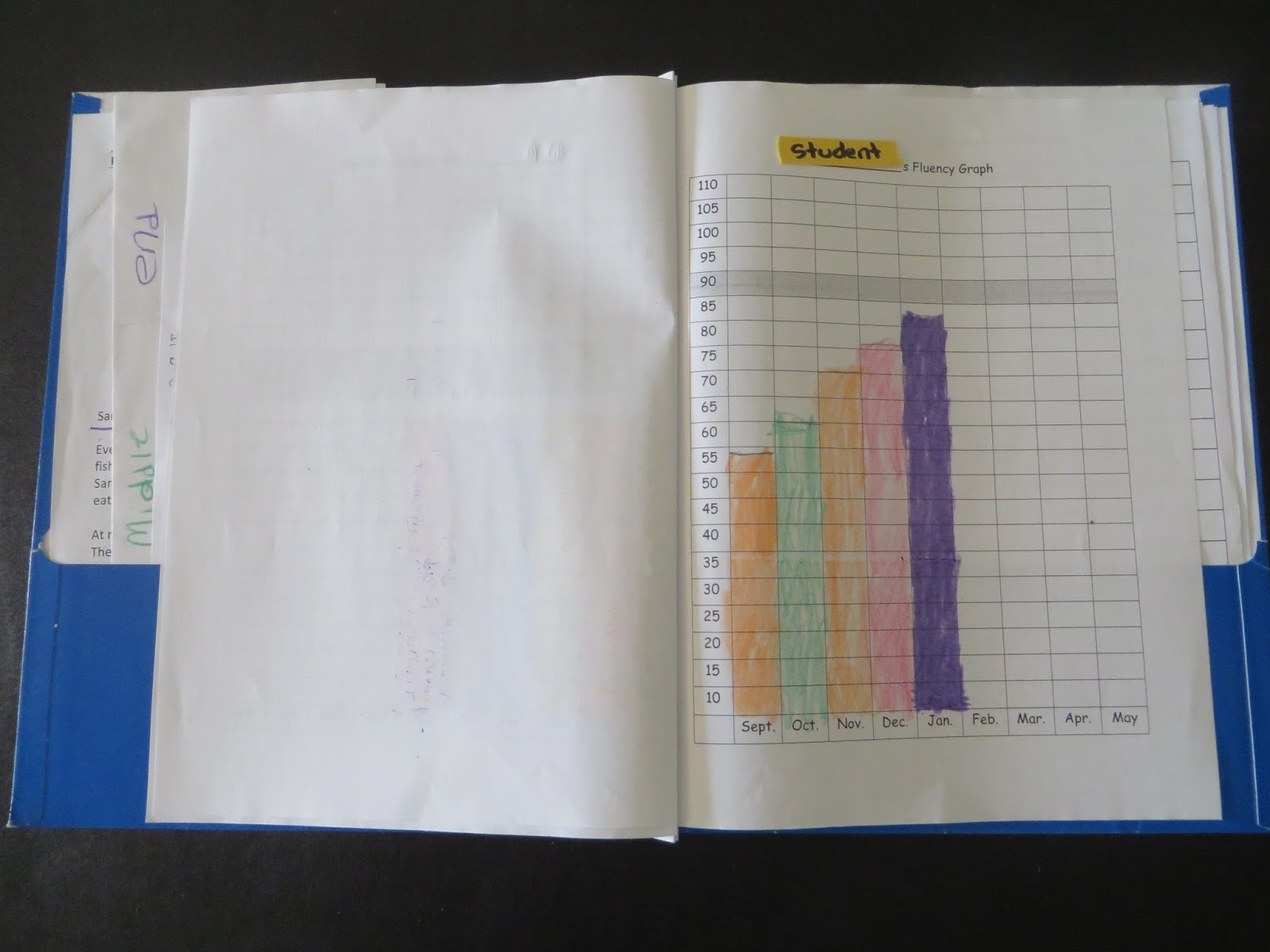 Mrs. Pirate Teacher: Guided Reading Notebook