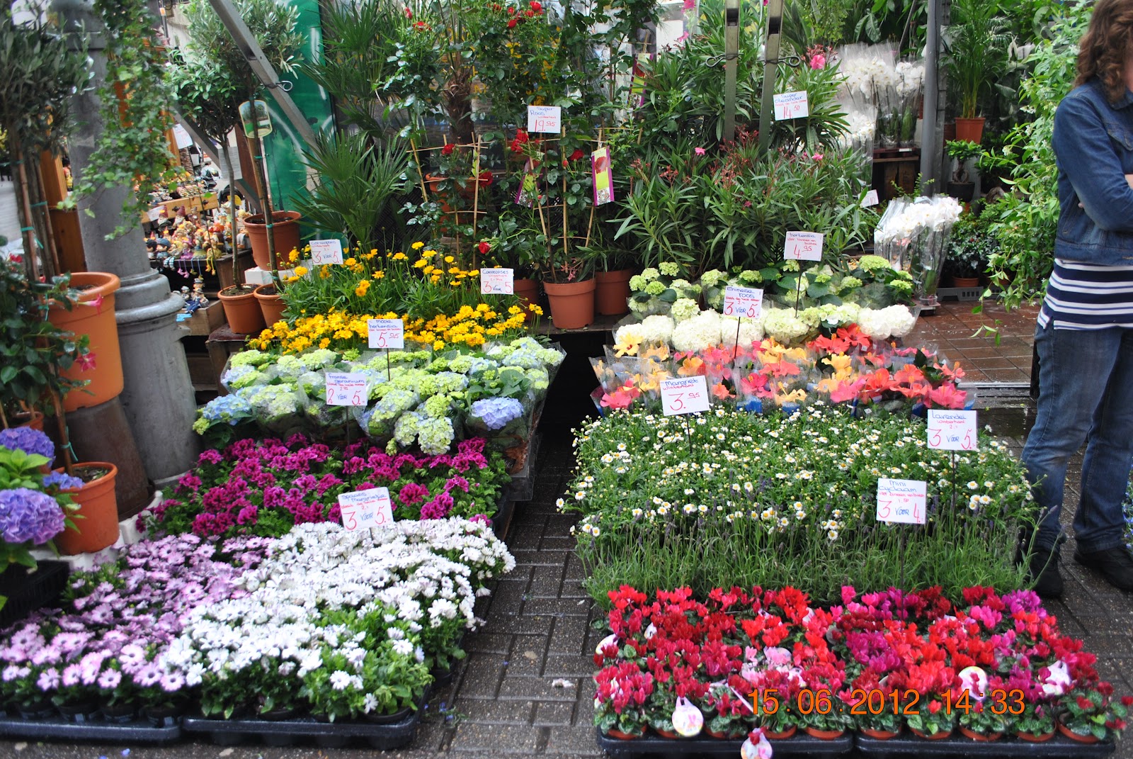 De peste tot si de nicaieri Piata de flori, Amsterdam