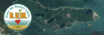 Restore Ubin Mangroves (R.U.M.) Initiative