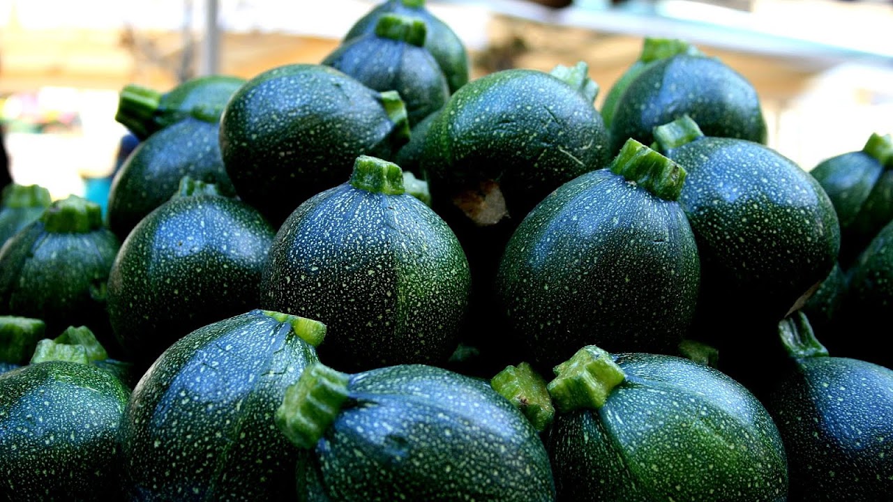 Small Round Green Squash Squash Choices