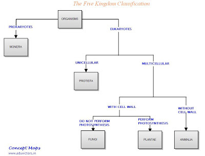 Five Kingdoms Classification