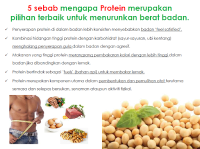 Sumber Protein