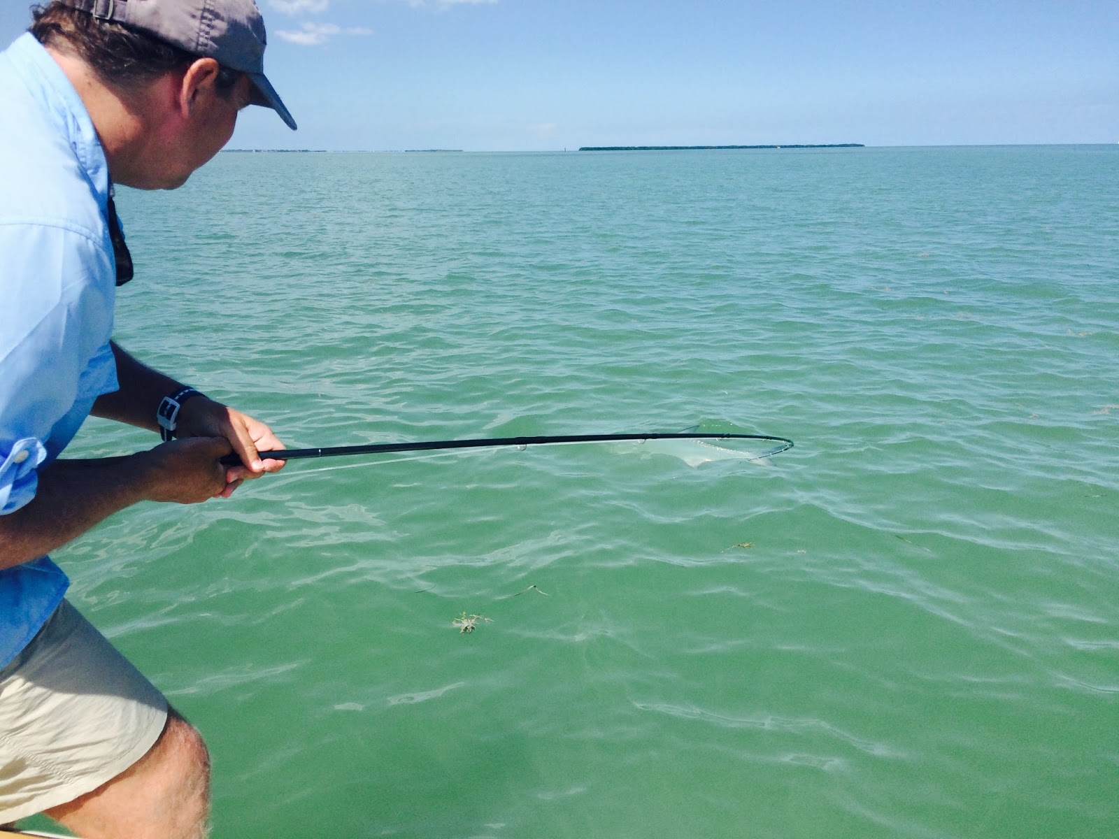 Maine Striper Fishing Reports Maine Striper Fishing Reports and Guides