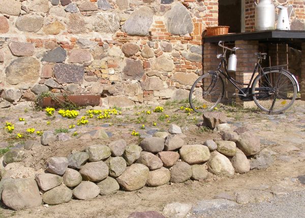 Gutshof Carolinenthal Neue Gartenverschonerung