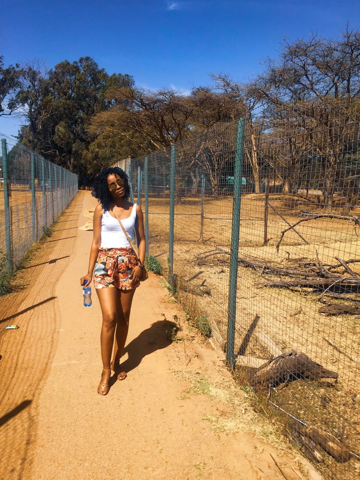 Activities to do in Johannesburg Visit The Johannesburg Zoo beinglizzie