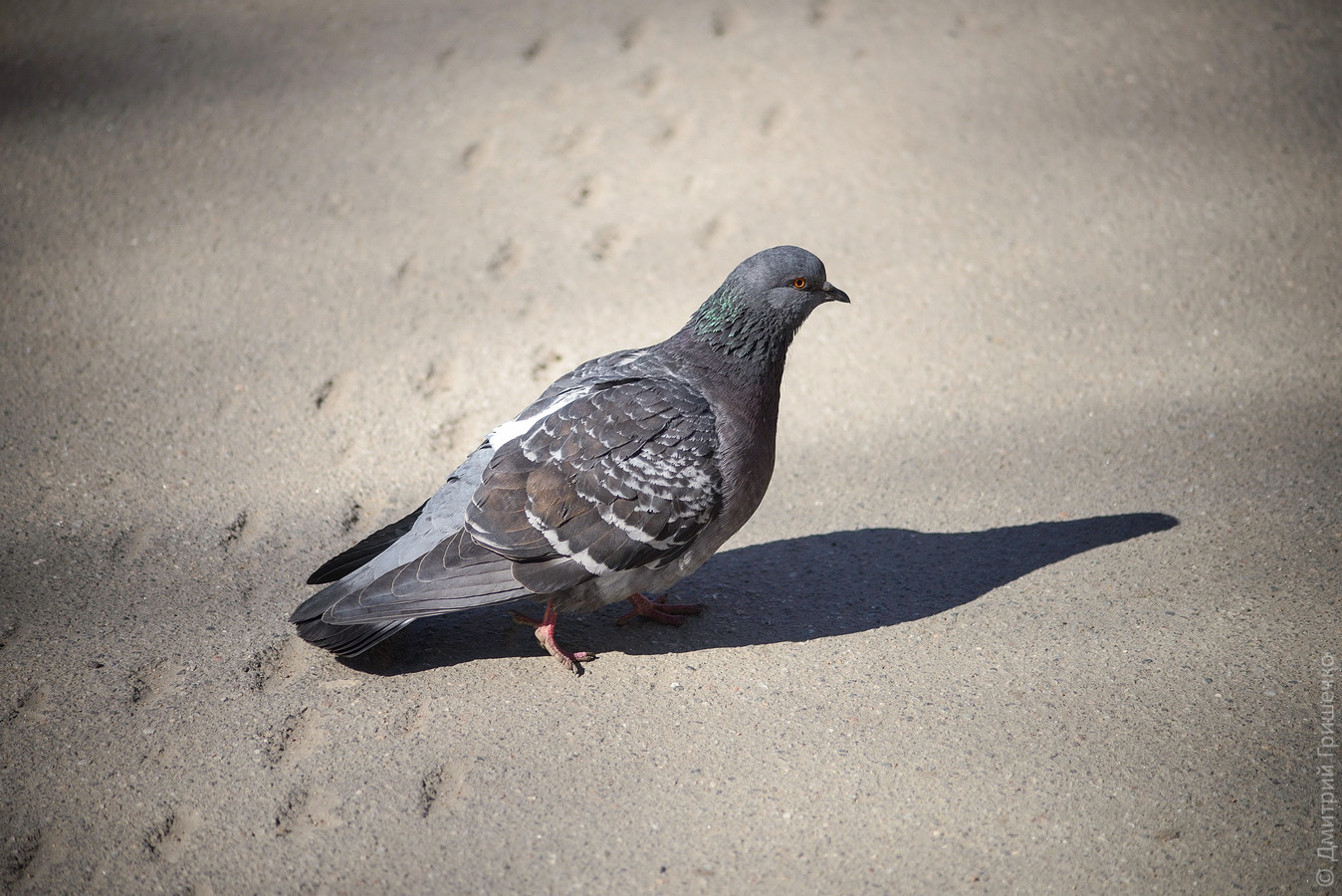 Миттельшпиль