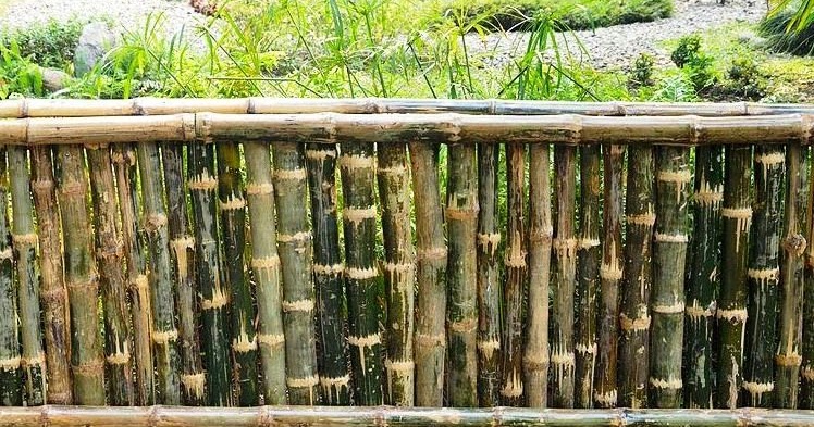 Inspirasi Terbaru 15+ Pagar Bambu Biasa