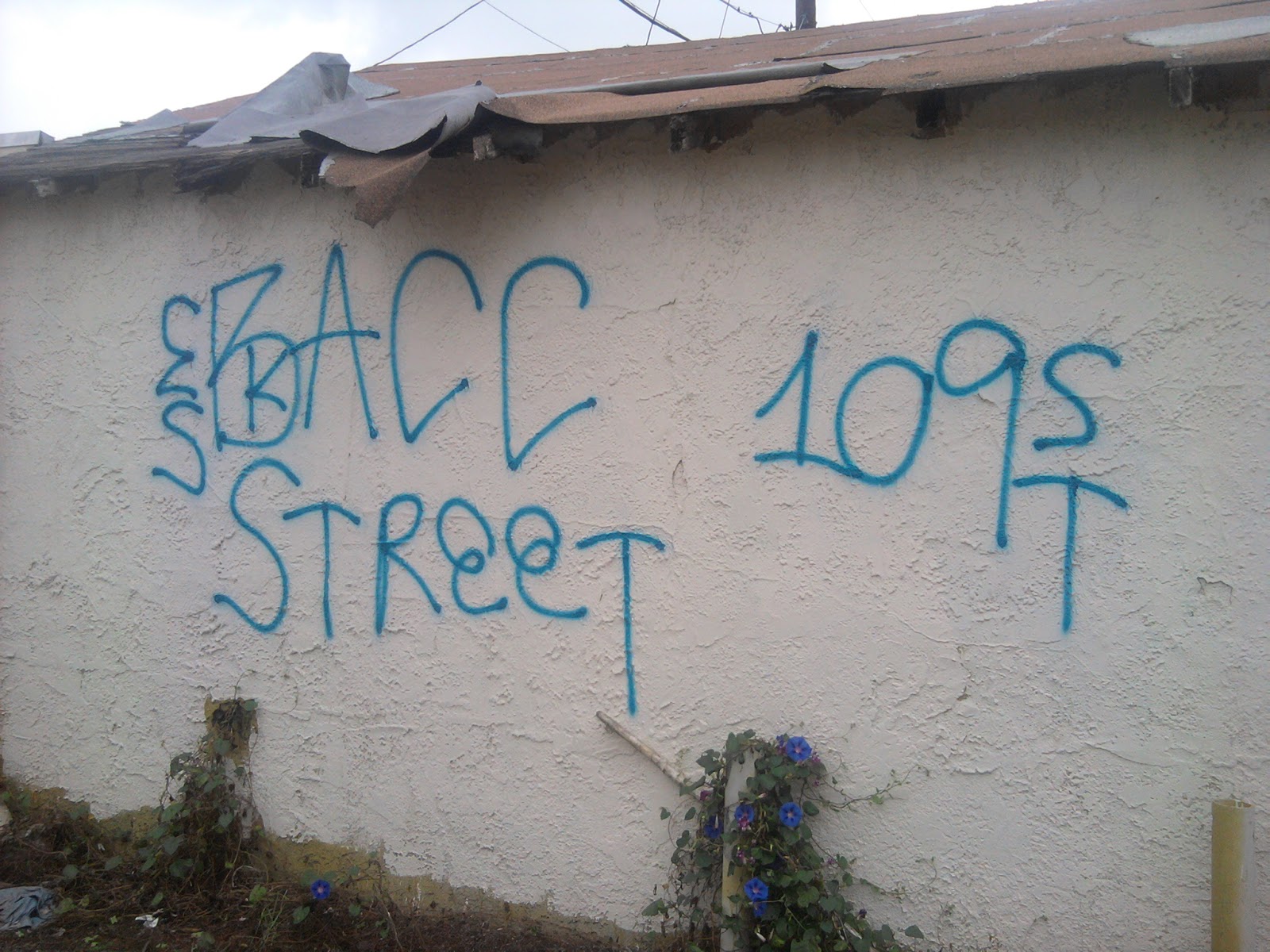 crip gangs graffiti Back street watts crip