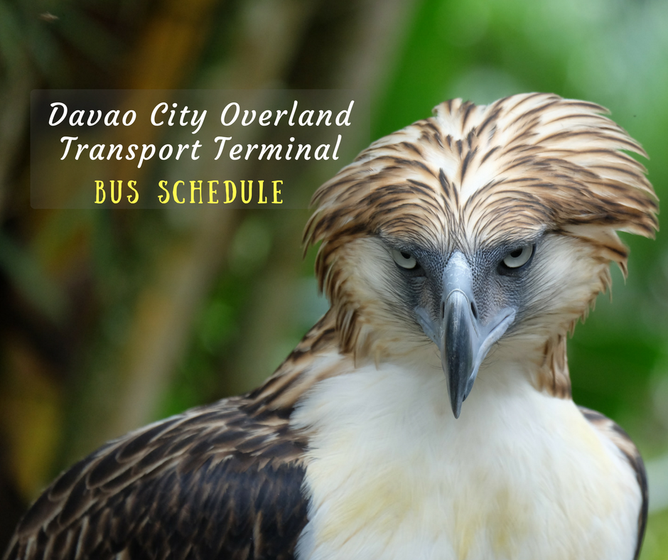 Davao City Overland Transport Terminal Bus Schedule | Escape Manila