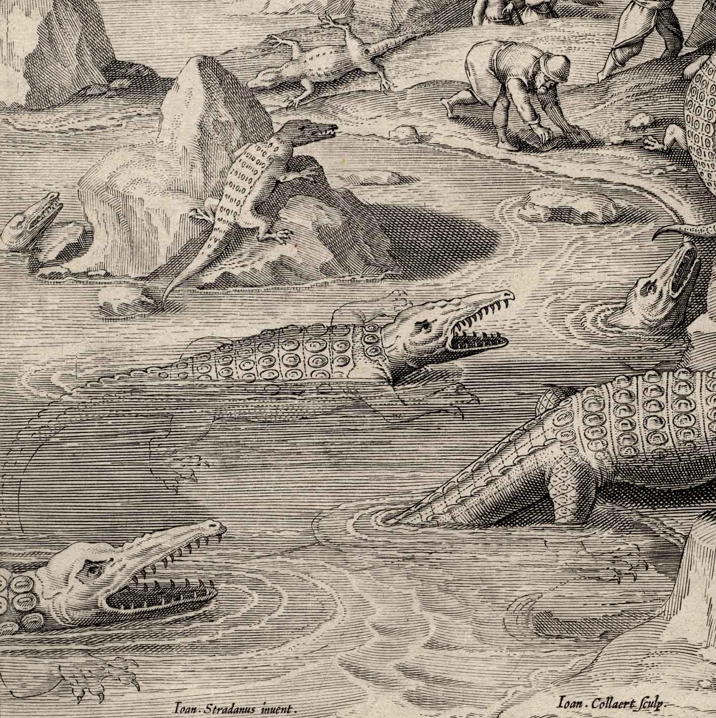 крокодил в средневековье. странные средневековые гравюры. гравюра ловля крокодилов на волге. новгородский крокодил. средневековый крокодил.