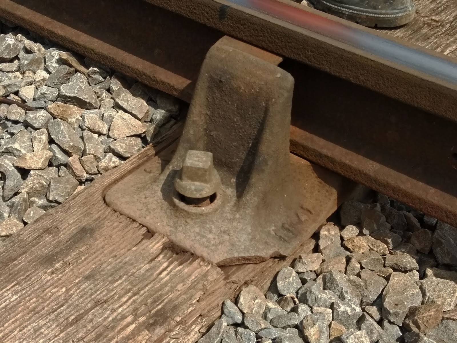 Extension Blog Kangoroo