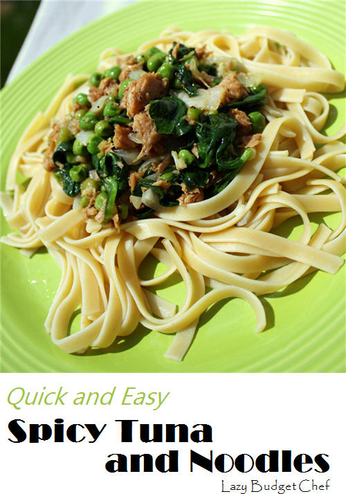 Lazy Budget Chef Spicy Tuna Fish and Noodles Recipe