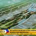 San Miguel Corp. submits plan for the new $10 billion airport to Aquino 