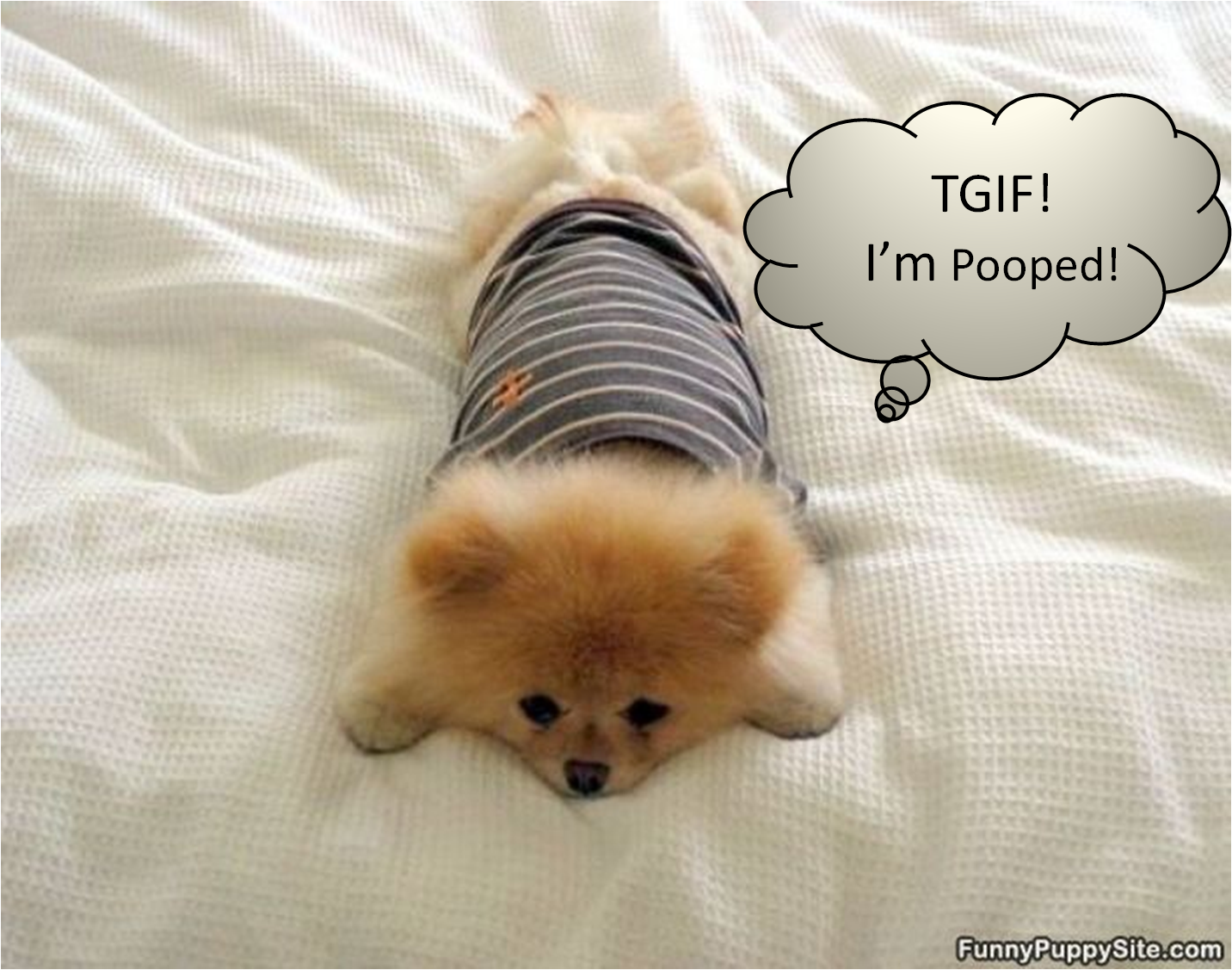 Friday Fun With Tortillas! Fun, Fit and Fabulous!