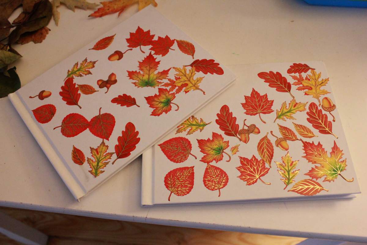 Nature Activitiy for Kids Leaf and Bark Rubbing Journal momgineer