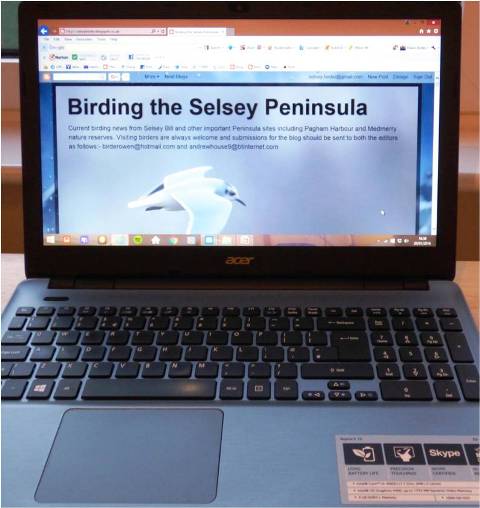 Birding The Selsey Peninsula Blog History