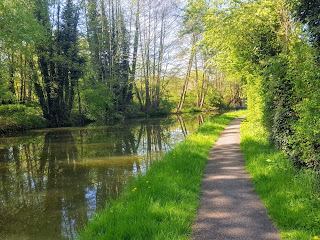 The Canal next to Waterhall Park