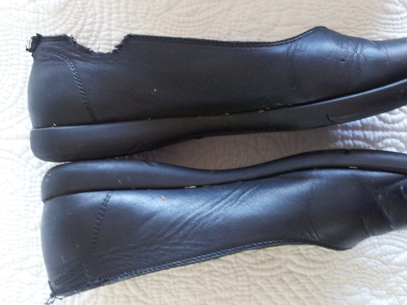 betterbabies And the dog ate my shoes