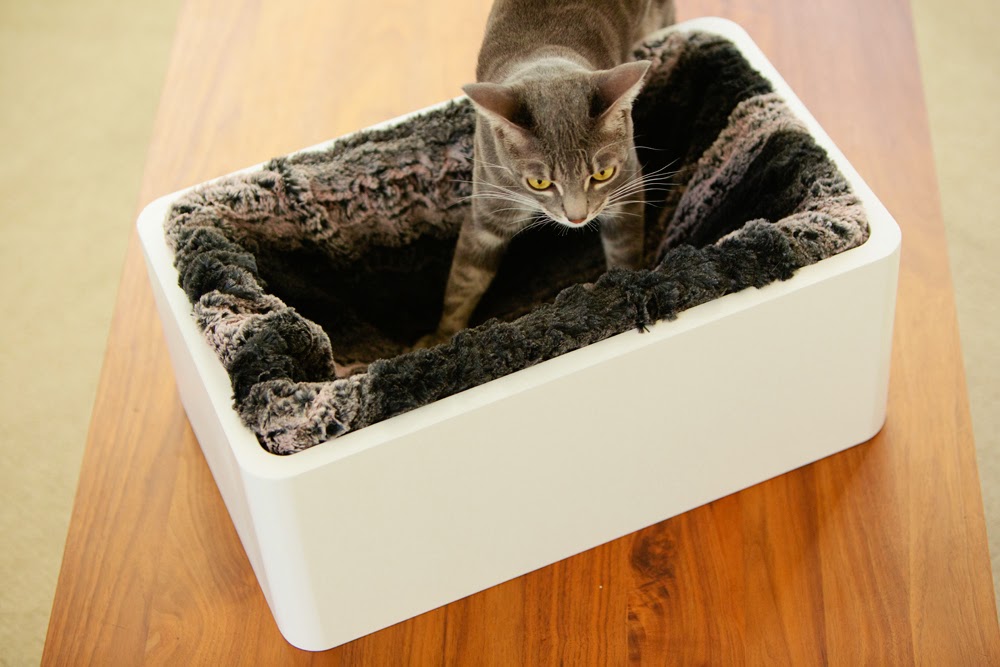 Giggly Cats How To Make A Cat Bed giggly-cats-how-to-make-a-cat-bed