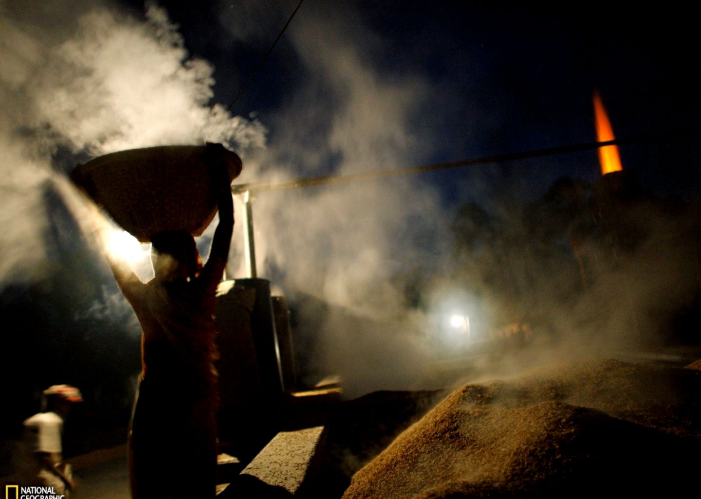 Nature National Geographic Nature Animals Wallpaper Desktop