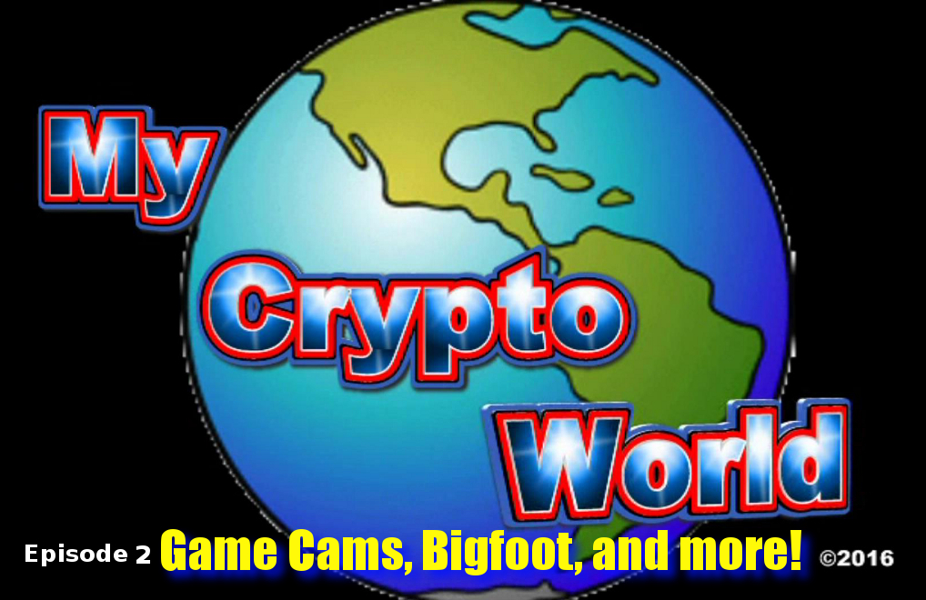 Bitcoin․com’s Director Of Engineering Solutions Verse Questions In AMA - Promoted Bitcoin News