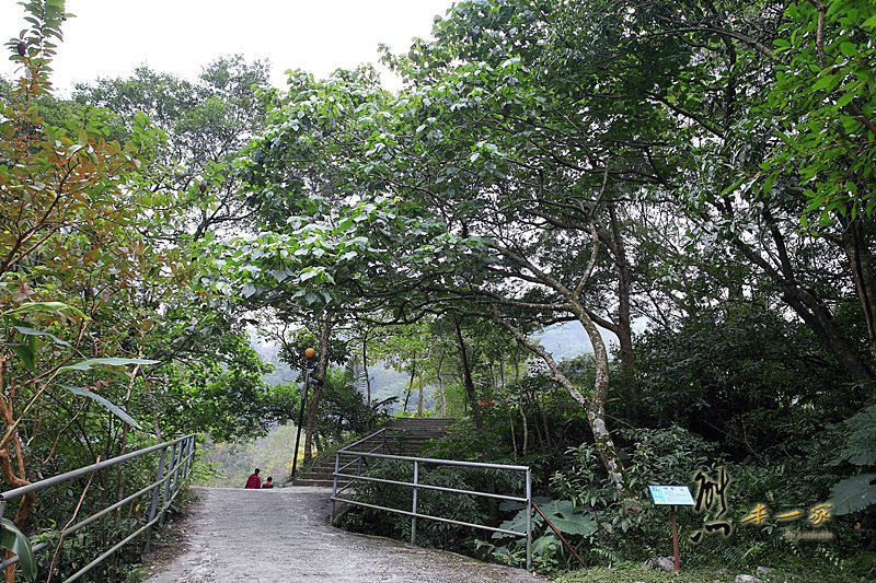 宜蘭頭城農場|原野樂園-焢窯區-窯烤披薩區-蔬菜園-牛舍~田野體驗