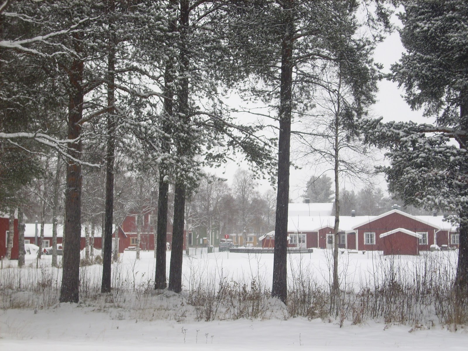 Jens in Arvidsjaur/Schweden Bildergallerie Arvidsjaur, Teil 8
