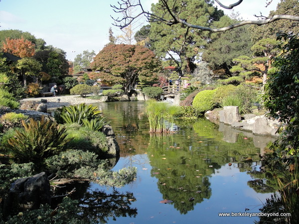 Weekend Adventures Update San Mateo Central Park Things To Do