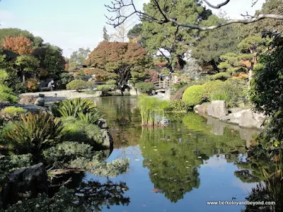 overview of Japanese Garden in Central Park in San Mateo, California
