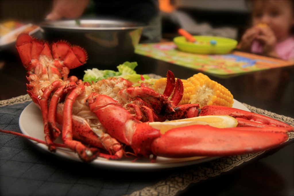 Reasons Why You Use Live Lobster Supplier Singapore Service Live Lobster Exporter, Live