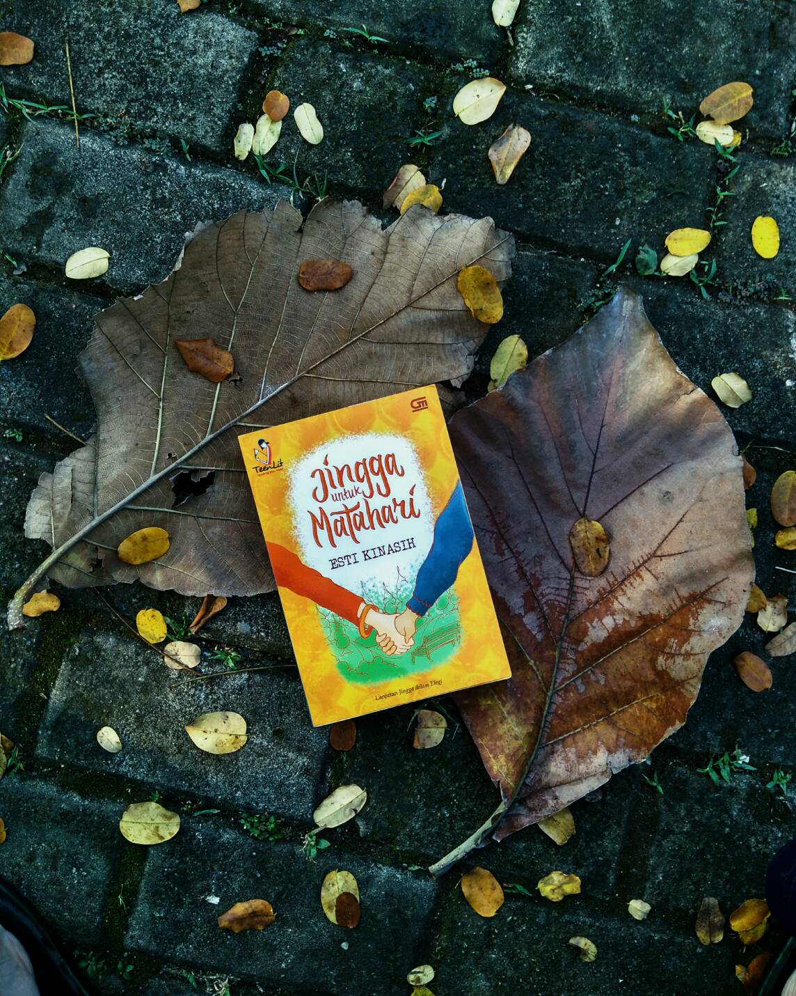 [BOOK REVIEW] Jingga untuk Matahari by Esti Kinasih