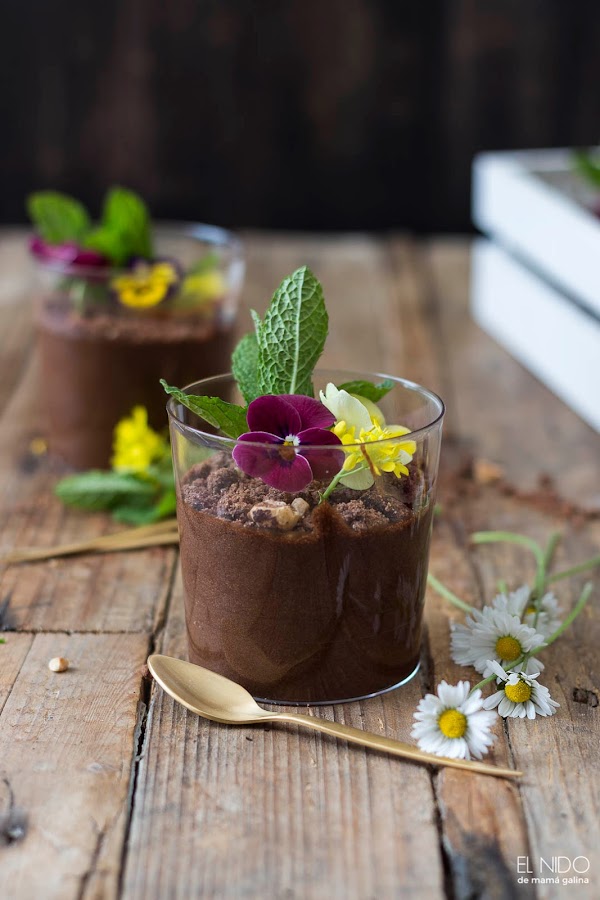 Mousse de doble chocolate