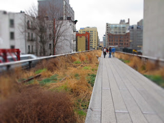 New York _High Line