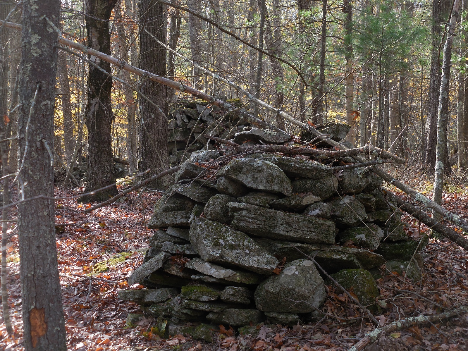 Burger's Onion Mystery Stone Structures in Connecticut